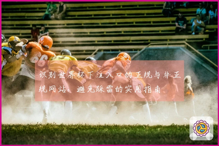 识别世界杯下注入口的正规与非正规网站,避免踩雷的实用指南