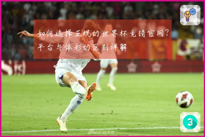 如何选择正规的世界杯竞猜官网？平台与体彩的区别详解